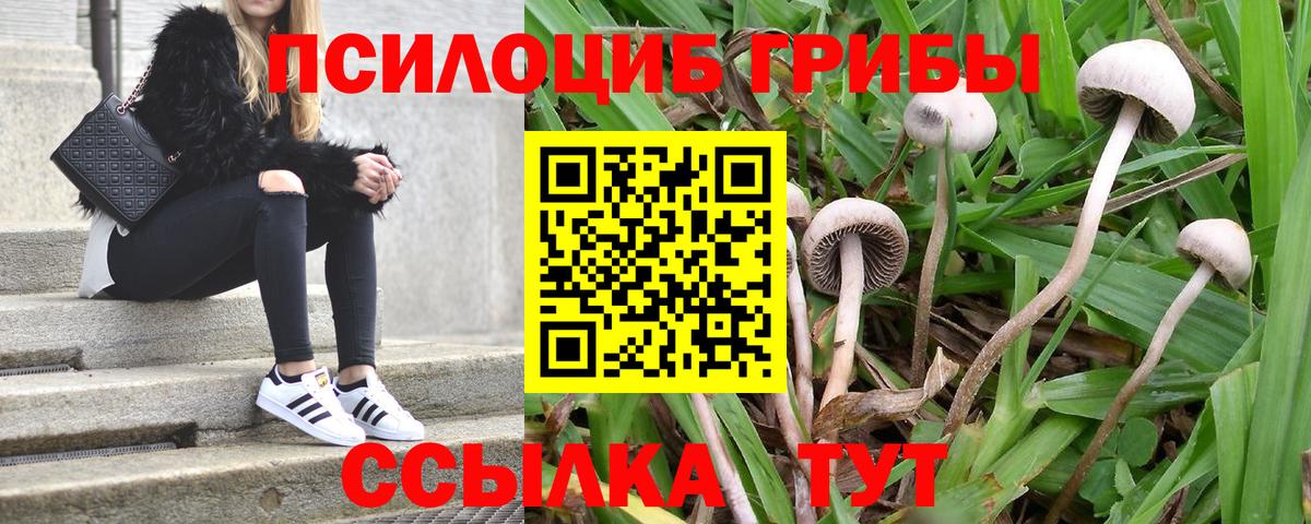сколько стоит  Вход с VPN  Вятские Поляны  Галлюциногенные грибы прущие грибы  Галлюциногенные грибы Magic Shrooms 
